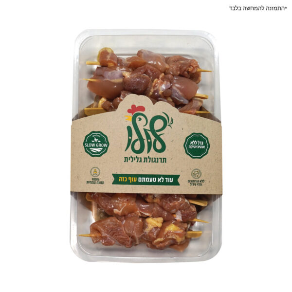 shipodi-pargit-1024x1024-1-600x600