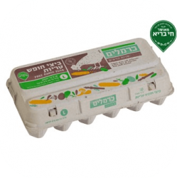 ביצים-חי-בריא