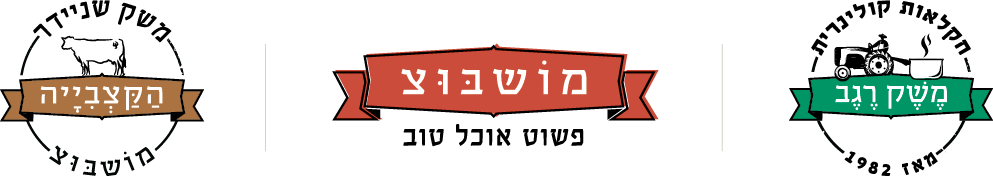 לוגואים.png